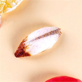 {{photo.Alt || photo.Description || 'Суси унаги'}}