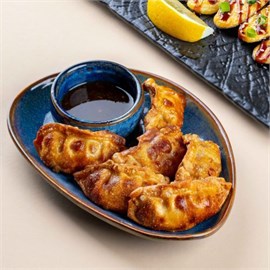 {{photo.Alt || photo.Description || 'Гёдза с курицей'}}